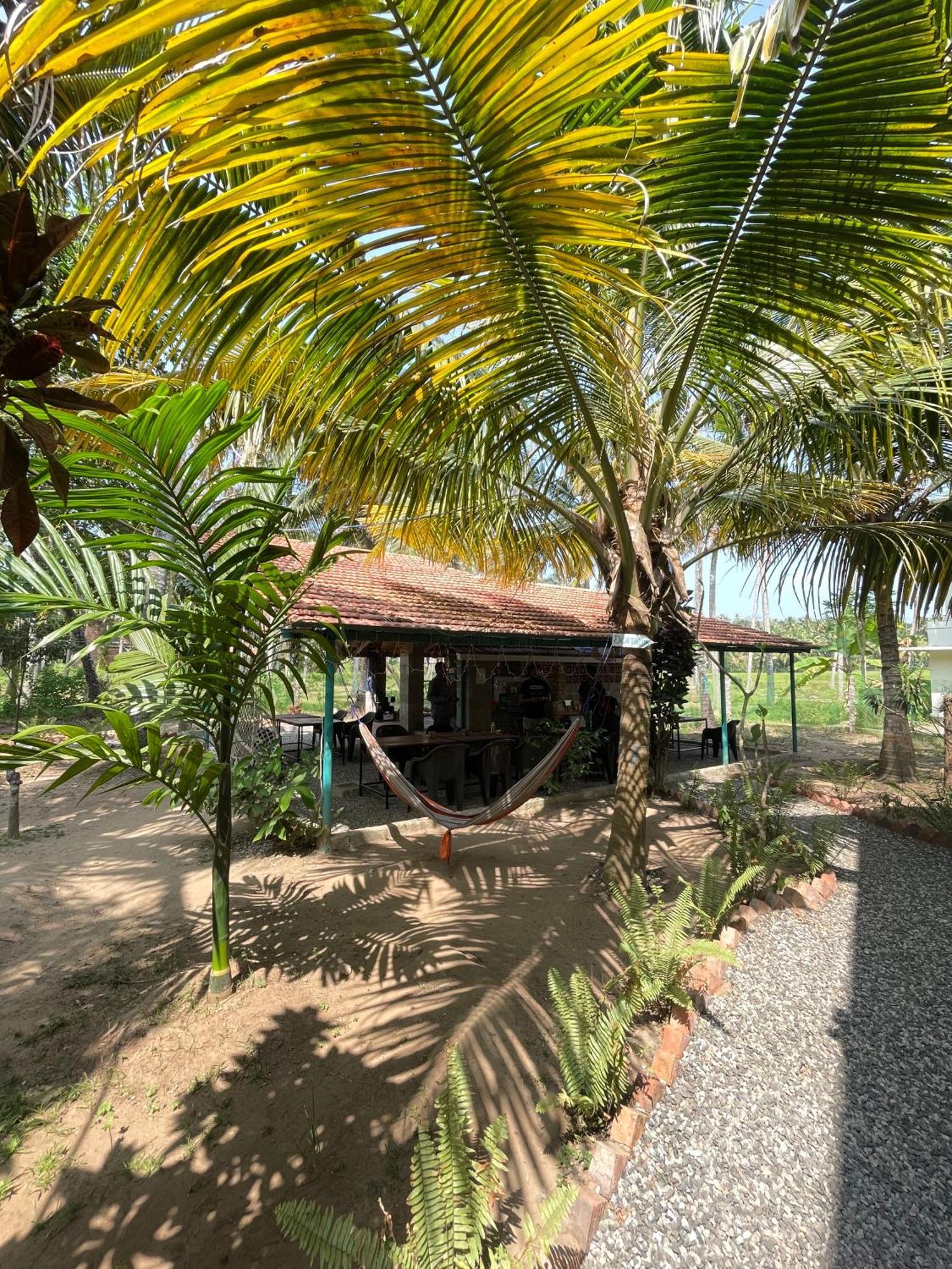 Hostel Cliff & Coral Varkala Zewnętrze zdjęcie