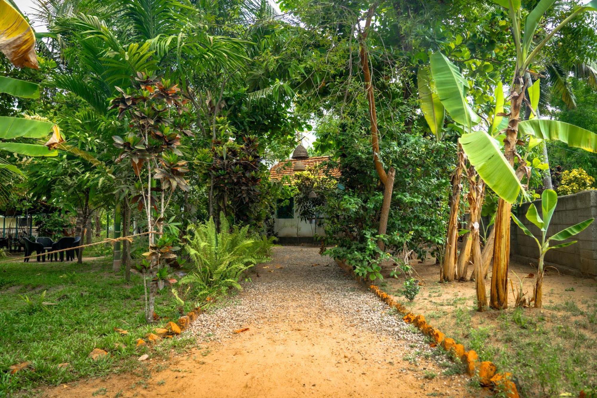 Hostel Cliff & Coral Varkala Zewnętrze zdjęcie